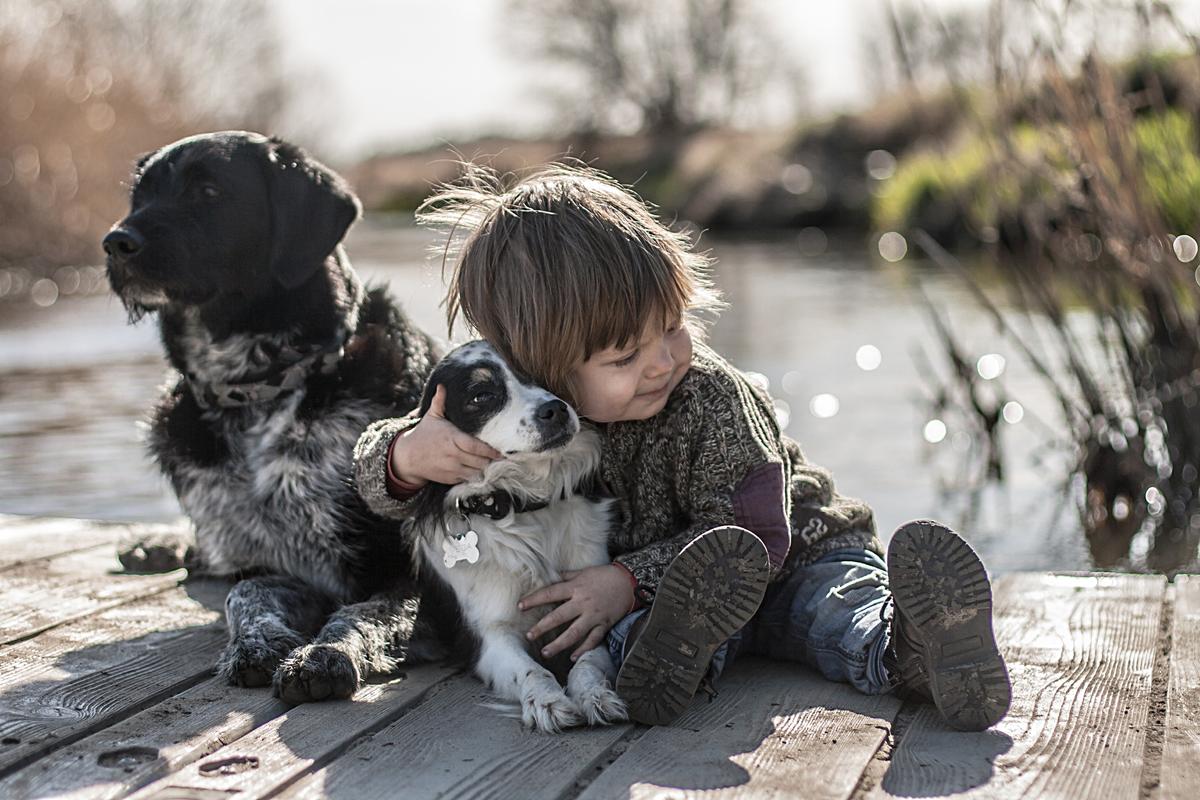 PetChowUDS's tweet photo. Meet The Toddler And His Pet Crew Who Are About To Win Your Heart
http://t.co/ZqqRk0lLTZ
#cute #pets #pethealth http://t.co/f1oYujXxqh