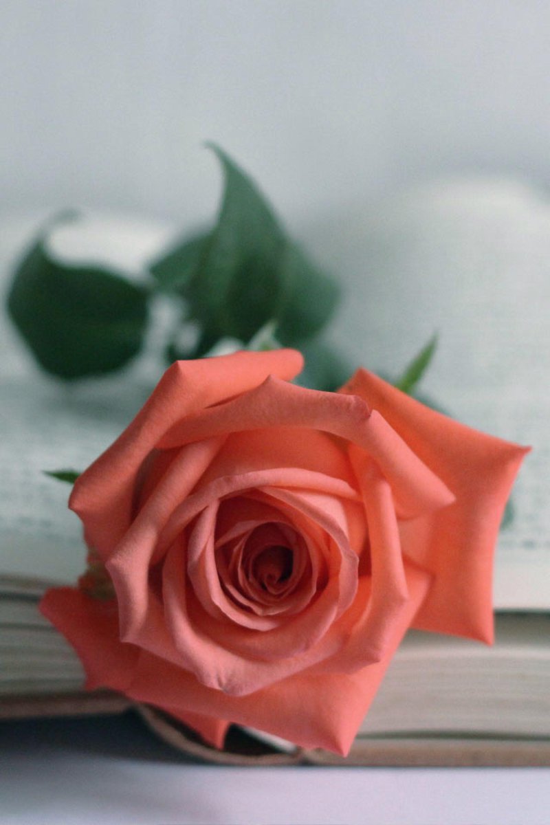 Des nuits d'amour plus finir,un grand bonheur qui prend sa place.Les ennuis,les chagrns trepassent.