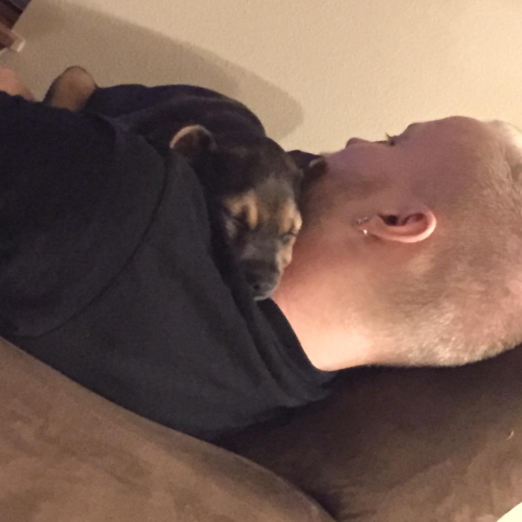 DieselSchaefer's tweet image. Cuddled with Daddy today