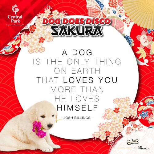 CentralParkMall's tweet photo. A DOG
IS THE ONLY THING ON EARTH
THAT LOVES YOU MORE THAN HE LOVES
HIMSELF
#DogDoesDisco2015 #DDDsakura@dogdoesdisco http://t.co/tXx45hkxFI