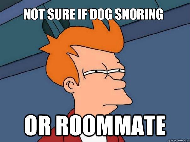 CouponPartners's tweet photo. 5 Things to Do If Your Roommate Snores http://t.co/umusMJ0hYM #roommateproblems #college http://t.co/NeVKIjk8Nh