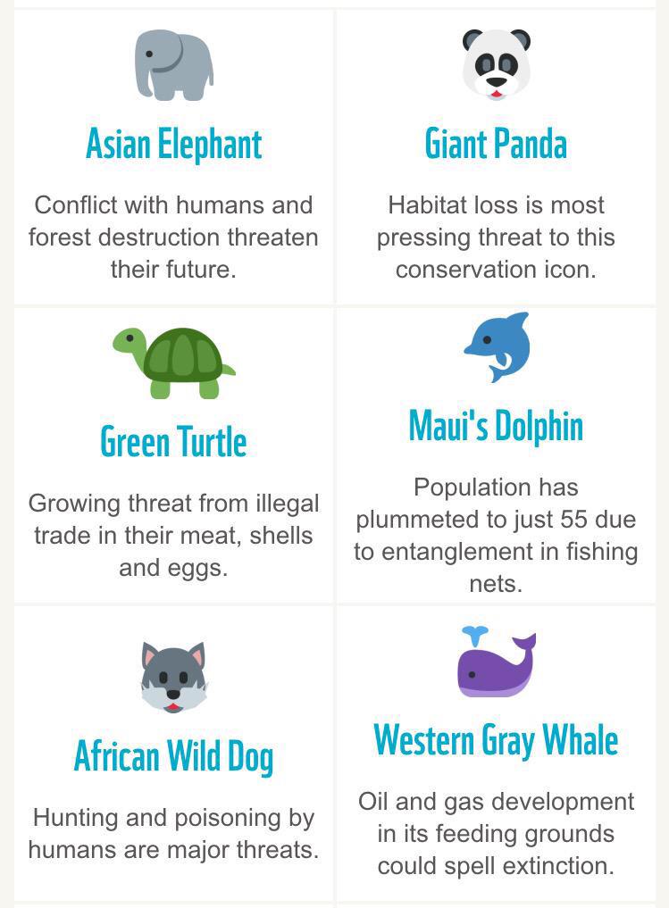 amy_weston97's tweet image. 🐯🐸🐒🐳🐺🐼🐪🐝🐧🐟🐍🐬🐘🐢
EVERY RETWEET THIS GETS DONATES $0.10 TO HELP ENDANGERED SPECIES 
#EndangeredEmoji