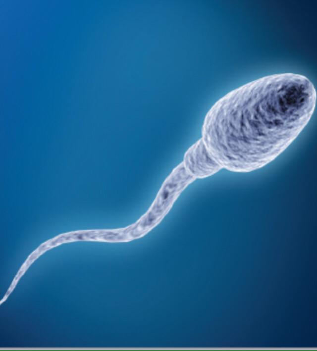 Bsnyder1998S's tweet photo. #TBT to the good ol days http://t.co/zNJIGwwcn5