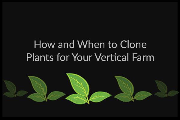 BrightAgrotech's tweet image. New VFB post! Cloning plants can be a great option for many crops.  Learn now: bit.ly/1H5uvXB
#verticalfarm