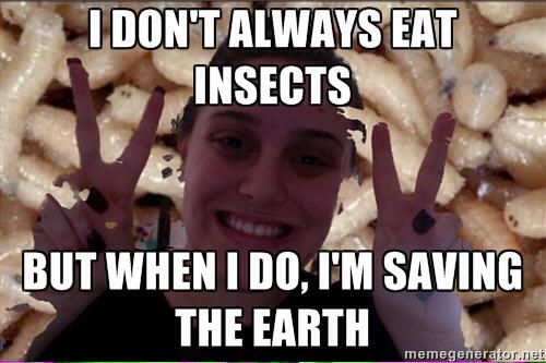 cvoglino15's tweet photo. Let's save the world!! @KQEDedspace #DoNowInsects #SMed7 http://t.co/4iNgjOTbZc