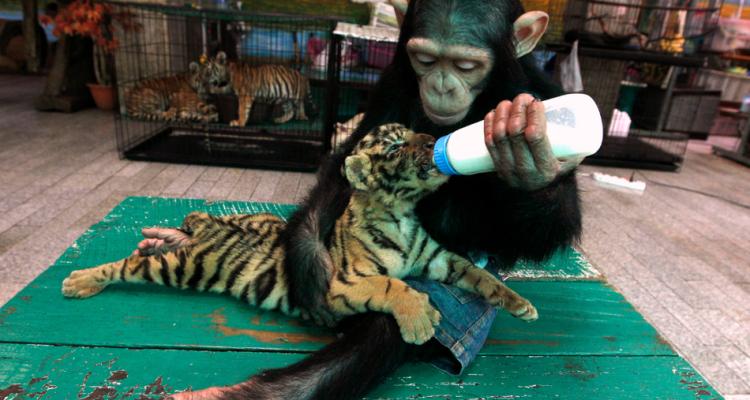 LottoPlace's tweet photo. 28 of the best causes and charities that will heal your soul http://t.co/IzLvkyjKAw
#charity #wheniwinthejackpot http://t.co/Tk59h8TXmQ