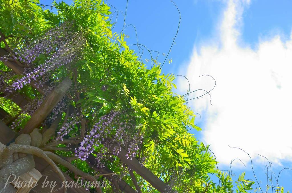 FUNDisMIC's tweet photo. 風景画練習中！
#twitter上にいるDヲタ全員と繋がるのが密かな夢だったりするのでとりあえずこれを見たＤヲタはrtもしくはフォローしていただけると全力でフォローしに行きます http://t.co/rcDCk8OL7W