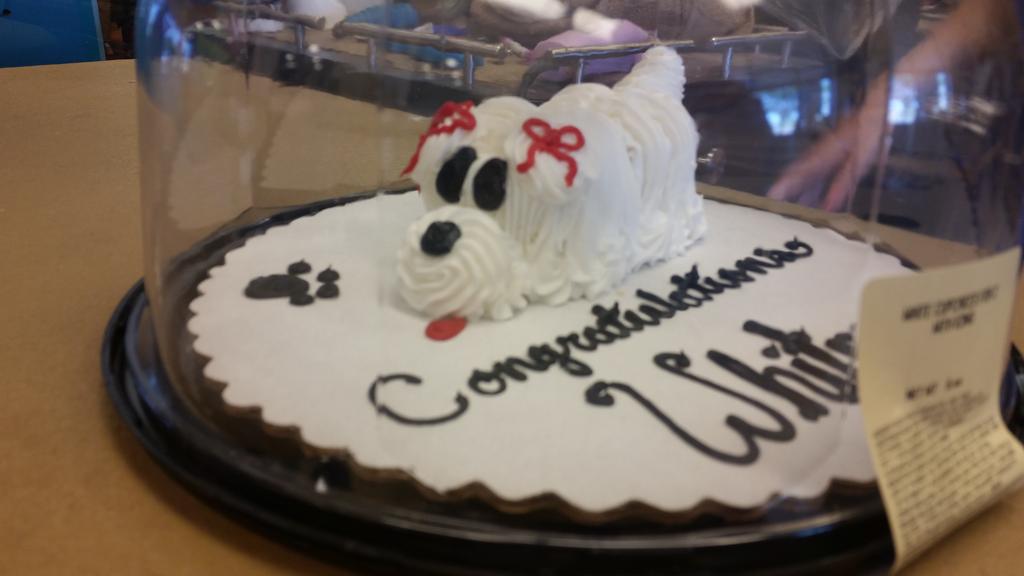 nicholewalker88's tweet photo. Way to go Whitney....  Our newest groomer done with her 100 dogs.....  #inspiredbypets #groomer http://t.co/6KXidzJTFa