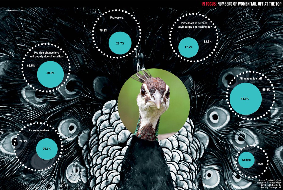 The causes of and solutions to the dearth of women at the top of UK academia: owl.li/MWCL3 #highered