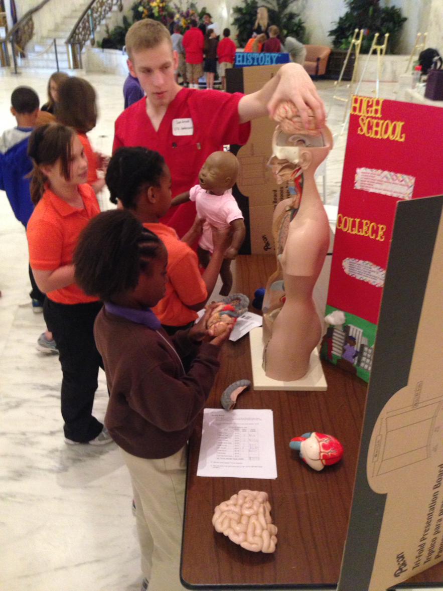 PeirsonsPupils's tweet photo. Learning about hearts with health sciences #CTEFAIR http://t.co/oQn0zhE9z6