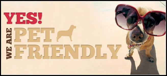 ParadiseInn_Bar's tweet photo. We are Pet Friendly http://t.co/527GNj1w3w http://t.co/lz5EstB2WK