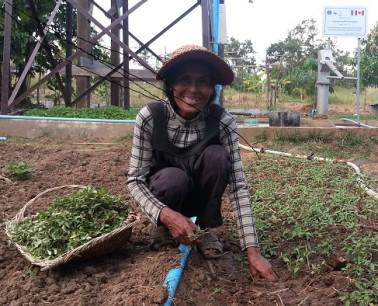 UN Development (@undp) on Twitter photo 200 days to #COP21! Model farmers in #Cambodia share knowledge w/ farmers on #climatechange: on.undp.org/MV62X 200 days to #COP21! Model farmers in #Cambodia share knowledge w/ farmers on #climatechange: on.undp.org/MV62X
