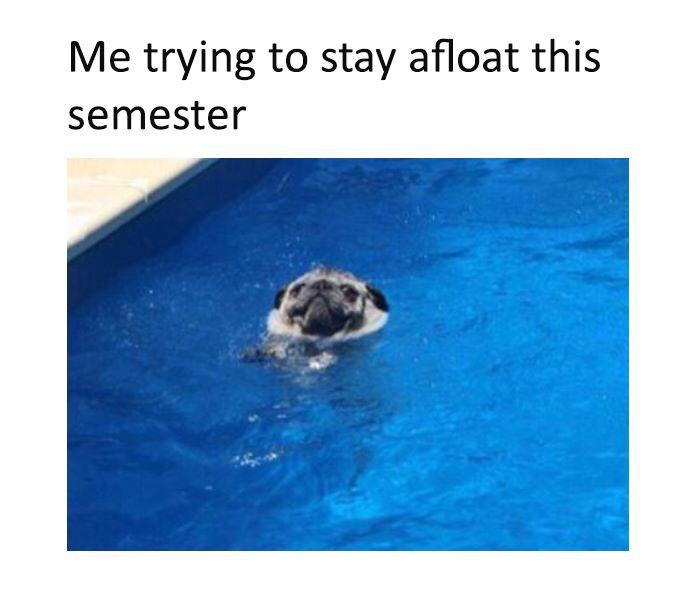 Yes! Agreed! Preeeeeach 🙏🏽