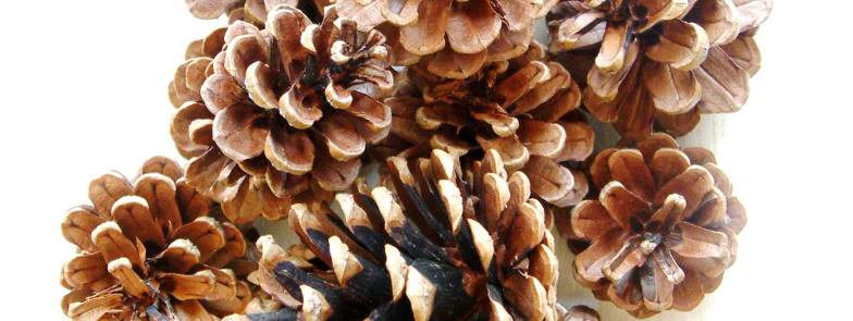 15. maijs - DJ AUSTRUMS &amp; MISTAH ZIVS @ RASOLS / BRUŅINIEKU 2 = (01:00)