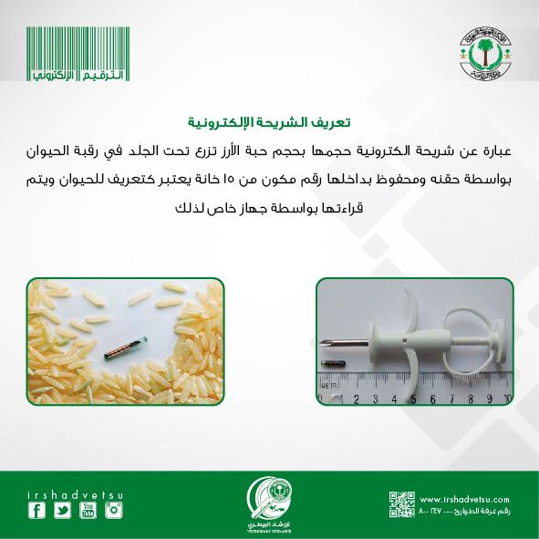 irshadvetsa's tweet photo. #الترقيم_الالكتروني_للإبل
 #تثقف_معي http://t.co/G1uTrN5Jxa
