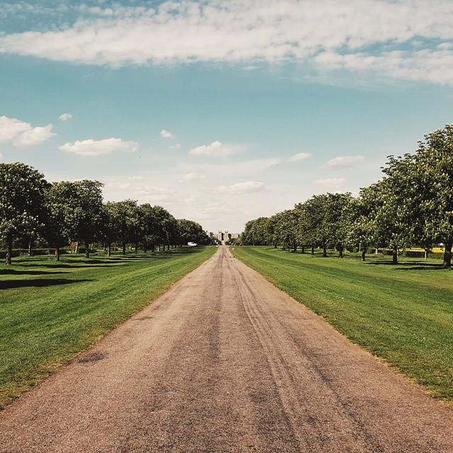 Why work anywhere else? #windsor #summer #yesterday bit.ly/1EH8QVk
