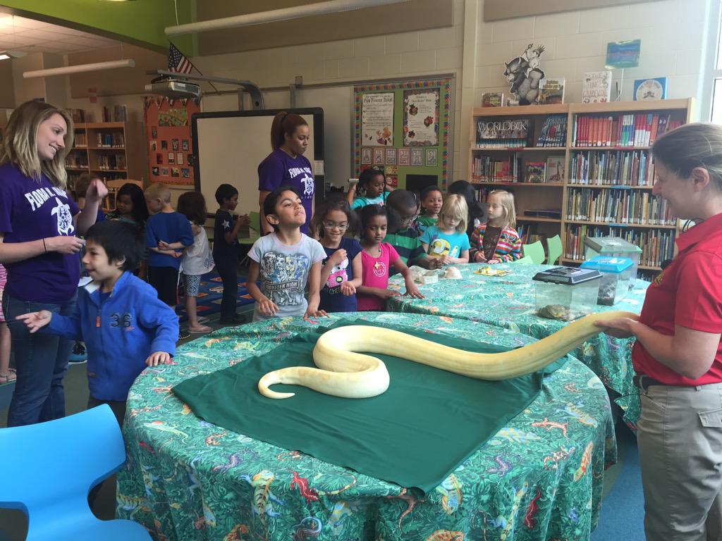MsPierson88's tweet photo. Yesterday was so much fun with @ReptilesAlive The kids were highly engaged! http://t.co/h0fEI0wiRH