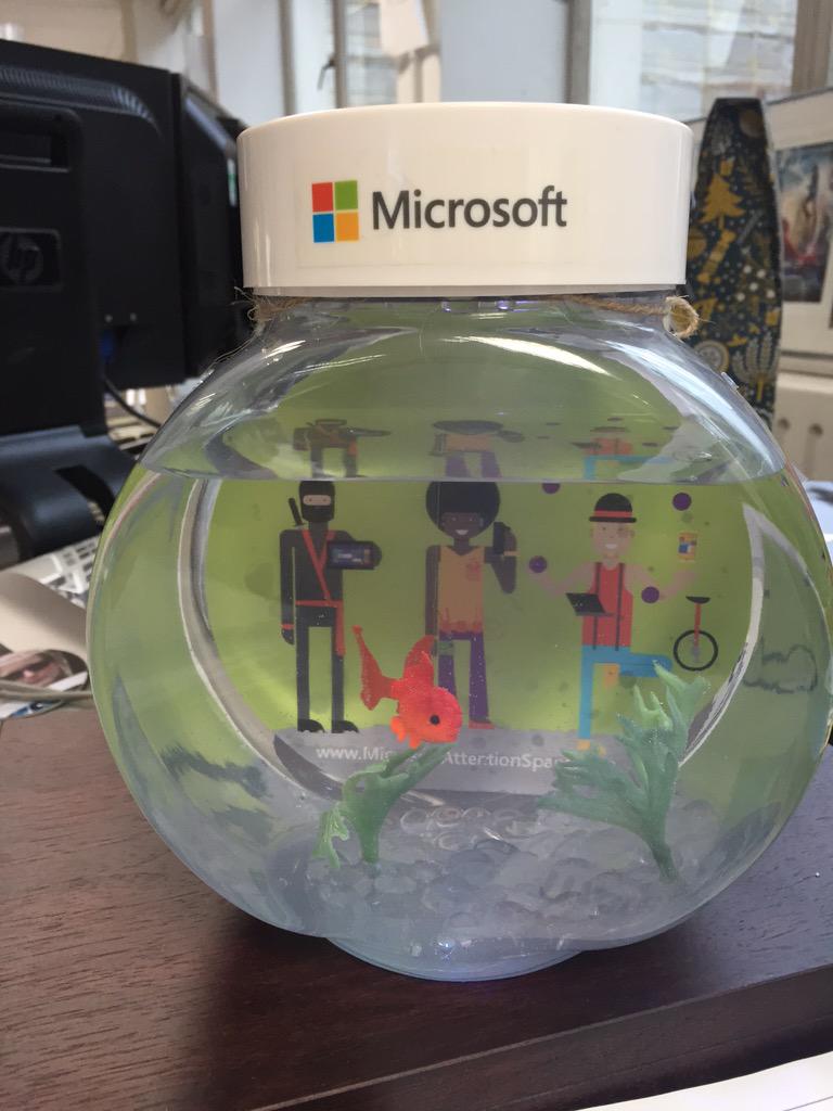 Aims00's tweet photo. Yay! New goldfish thanks @MSAdvertisingUK It needs a name though any suggestions? Not sure if it's a girl or a boy. http://t.co/VDJFT1KdpE