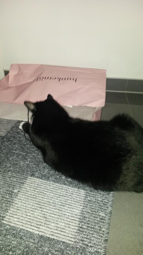 Frauchen liebt die Unterwäsche von Hunkemöller und ich die Tüten :-) ....