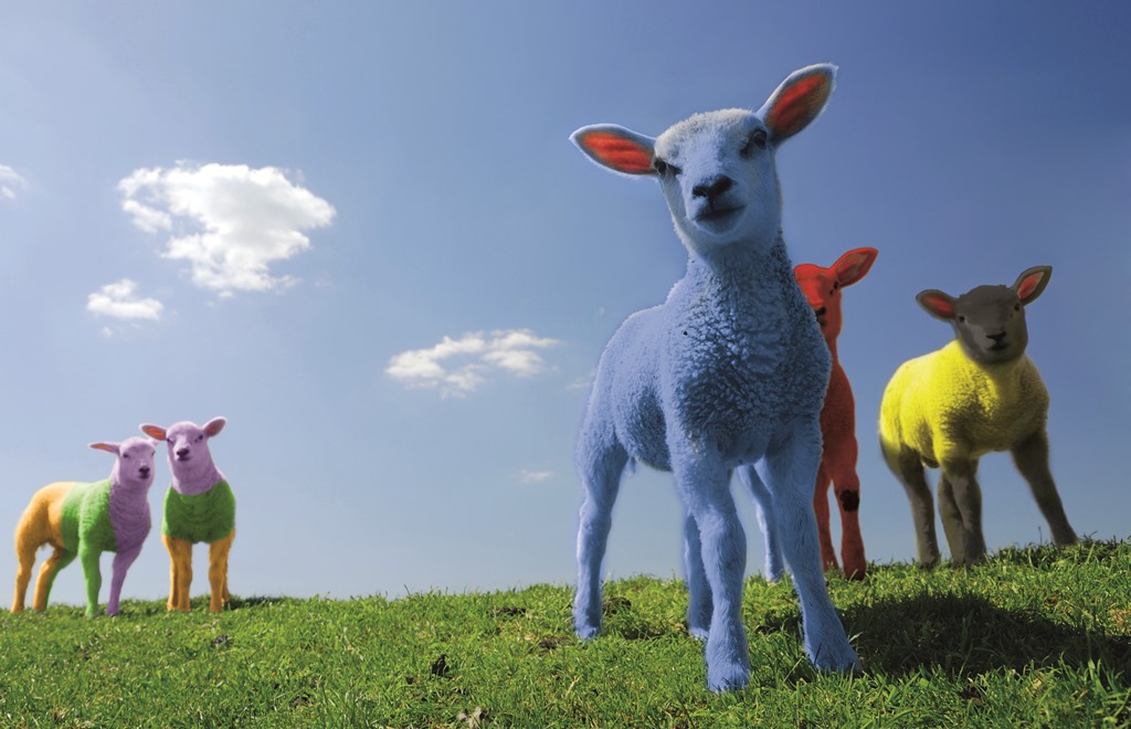 HopkinsClive's tweet photo. Find out what the election results might mean for farming. Read more. http://t.co/eLRg0UZtg4 #ruralbulletin #research http://t.co/0Tj8cmj4Ho