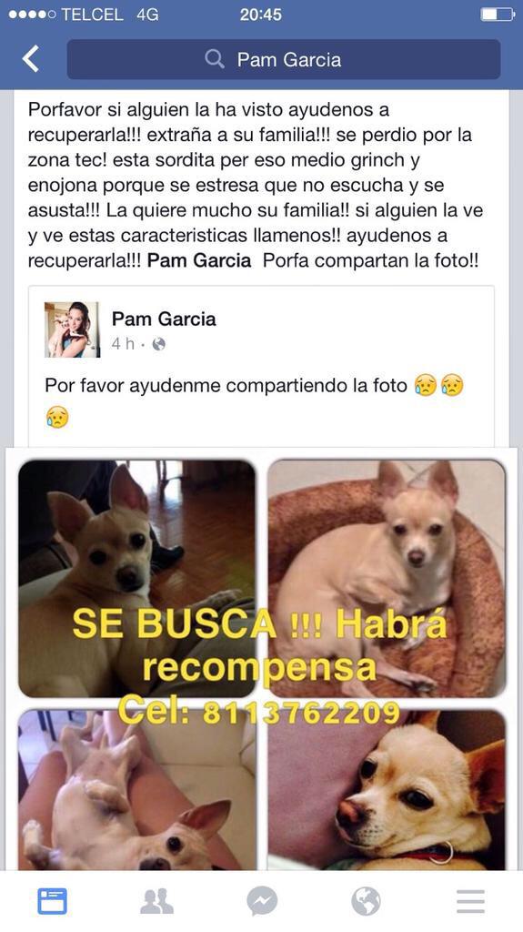mleal3366's tweet photo. @RegioSeguro @CiudaDanaMtySur @perdidosmty RT alguien la ha visto? Perdida zona tec http://t.co/TDRvKIzJfB