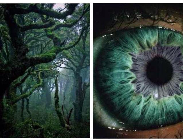 bodycompared's tweet image. 