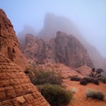 Photo by Nevada State Parks (@NVStateParks)