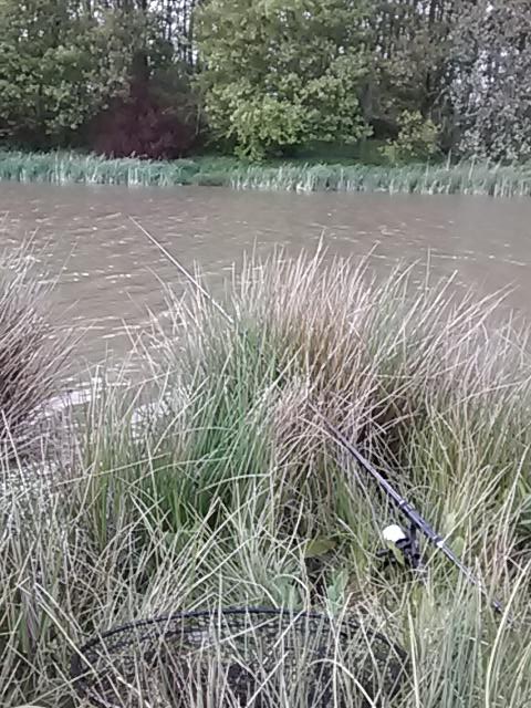 Floater fishing for carp this evening