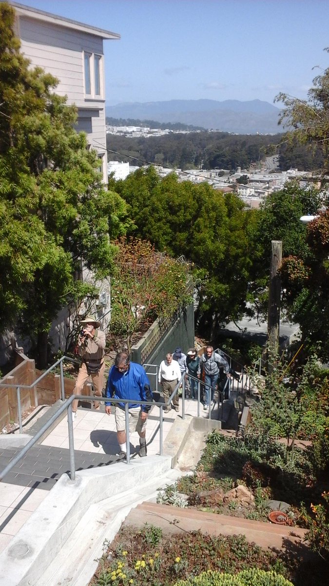 GardenSteps's tweet photo. Great to see HPREC (retiree group) visiting the #SanFrancisco #HiddenGardenSteps this morning http://t.co/kQwnapnzl8 http://t.co/ZgrghxrxcZ