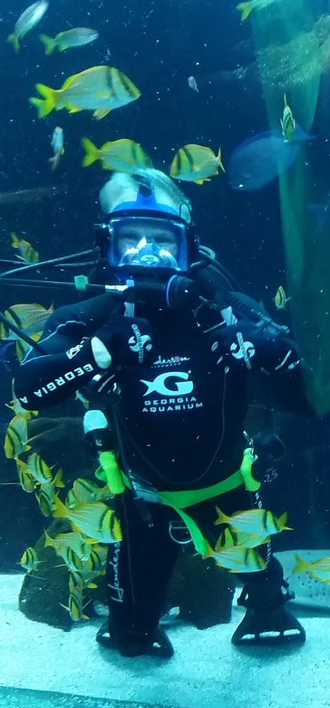 UTSmokey_00's tweet photo. I've got my #Scuba certification if @GeorgiaAquarium has a dog sized pair of flippers #ChasingCatFish #DoggyPaddle http://t.co/MG8BK0G7xs