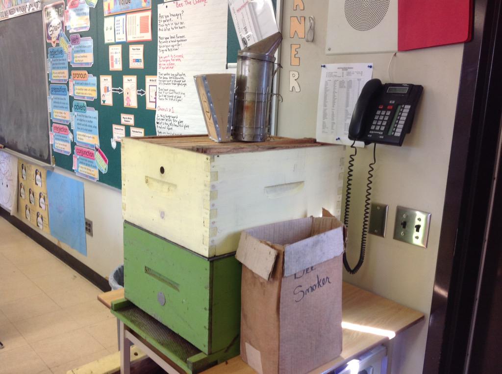 KirkbyClass's tweet photo. Amazing presentation from local beekeeper Jessica Rhind! #alwaysbeelearning #kirkbykids http://t.co/mE9wnnmzVr