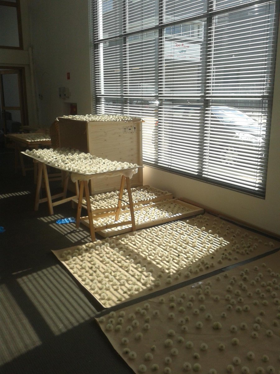 StudioDrift's tweet photo. Studio covered with dandelions #FragileFuture #Dandelight http://t.co/hdKLZf3xuX
