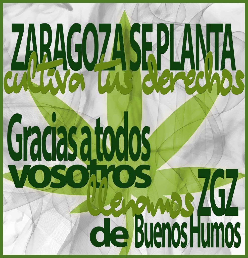 ZGZsePlanta's tweet photo. FF @MovCannabicCat @Cannabicas @Naty_Lincesa @UveDeVerde @Mad_Facc @FEDCAC  #ZGZsePlanta Gracias!! http://t.co/KwqIIGiTZp