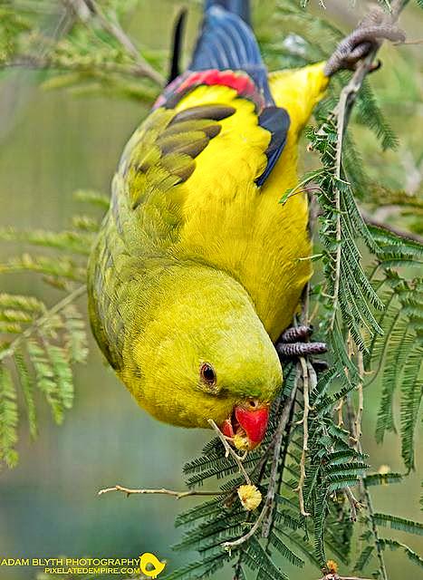 tapasjana897's tweet photo. Good http://t.co/zjWOqNjyV9