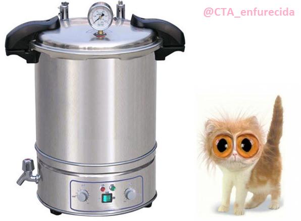 CTA_Enfurecida's tweet photo. "ESTERILIZAMOS TU GATO" (CADA VEZ QUE UN VETERINARIO QUITA EL PUESTO A UN TECNÓLOGO DE LOS ALIMENTOS MUERE UN GATITO) http://t.co/ZmV6EnCV1I