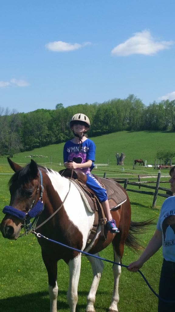 jilliejoe9's tweet photo. @ Terry Ho stables for field trip #horses http://t.co/yK3lQ01ZRx