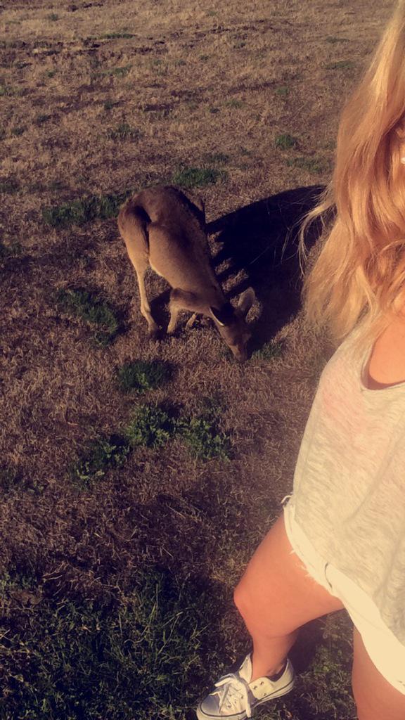 chloeadeleex's tweet image. Best. Day. Ever 🐺🙈