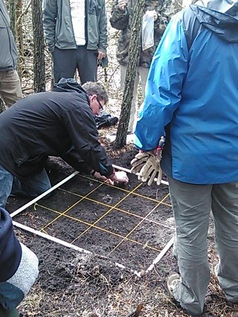 Marie_Pichler's tweet photo. @Stantec Native orchid planting at The Ridges Sanctuary in Bailey's Harbor, WI http://t.co/hDzMC86zKb