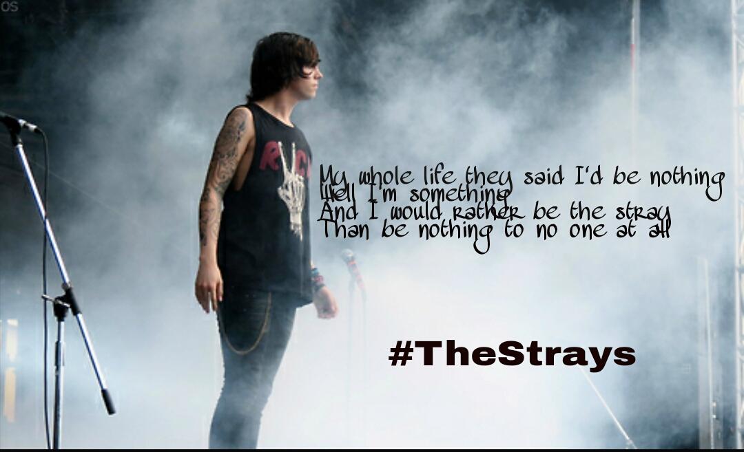 kbrown3550's tweet photo. #TheStrays @SWStheband #SWSMadness #sws @Kellinquinn @SWStheband http://t.co/xnUwdsSsoy