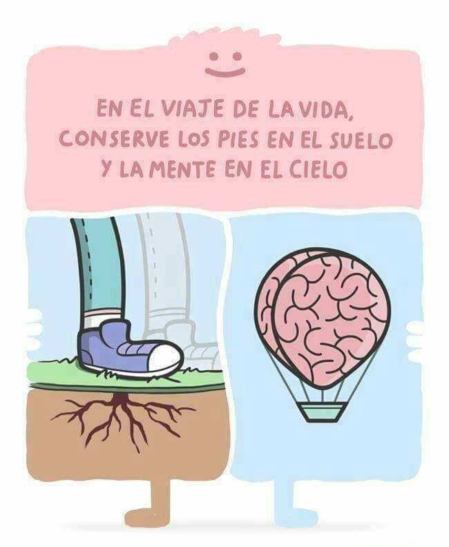 AppPubliCoapa's tweet photo. http://t.co/hlnZYRMNos