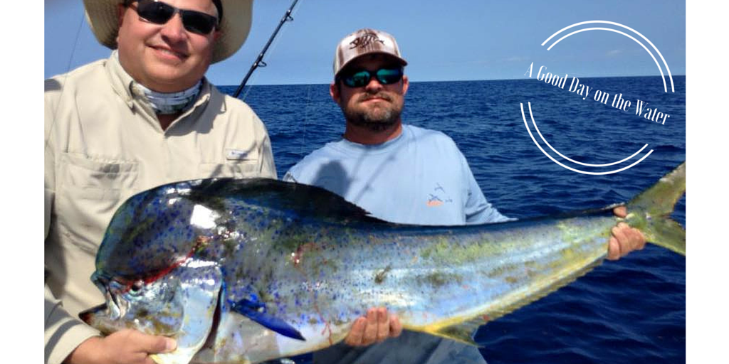 HotRodFishing's tweet photo. Catchin' them left and right #mahimahi #FLKeys http://t.co/vIoY1fA0iV