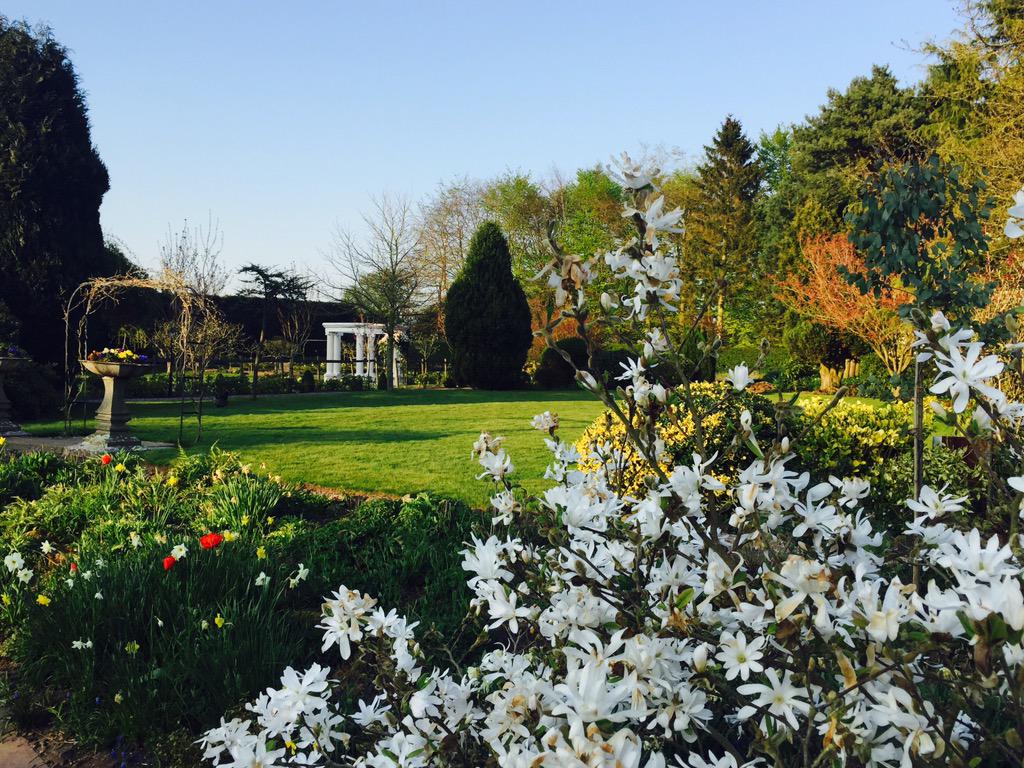 The Old Hall Madeley tweet media