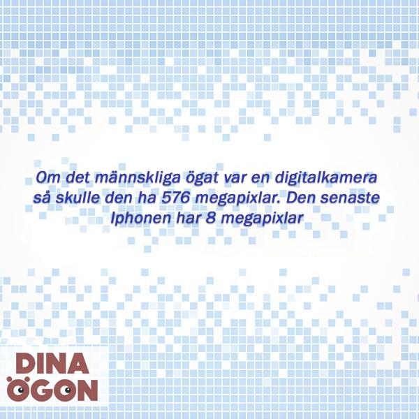 Dina Ögon (@dinaogon) on Twitter photo 