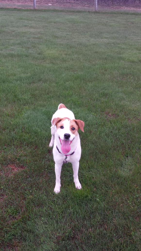 StephieBarton's tweet photo. Luna having fun ♡ http://t.co/yH4r61Rhu3