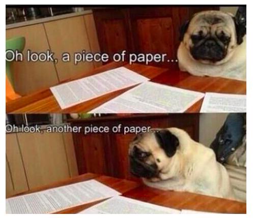 Freshers_2015's tweet photo. Revision be like.... http://t.co/9whtomg6D0