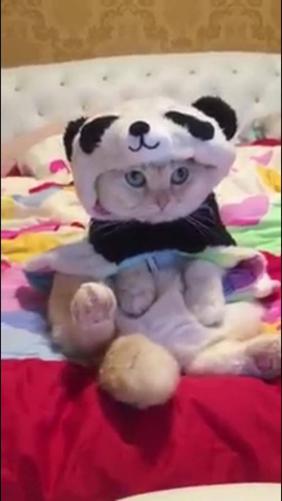 LukeDeathy's tweet image. Lol