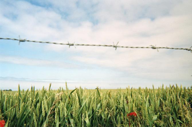 steadfastso's tweet image. Love #photography? So does @KrisKoziMoore! Check out our feature on him here: goo.gl/ai05Jq