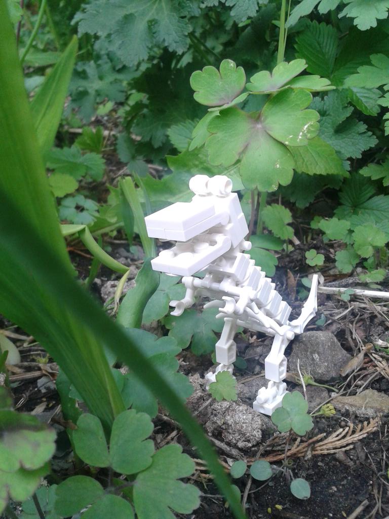 HLBurdett's tweet image. T-rex has been roaming my garden for the past 65 million years! #miniwildlifephoto @WildlifeMag #livingfossil