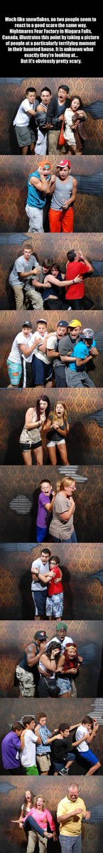 Over50DatingNZ's tweet image. Funny Quotes: pinterest.com/pin/2022398394… #humour #quotes