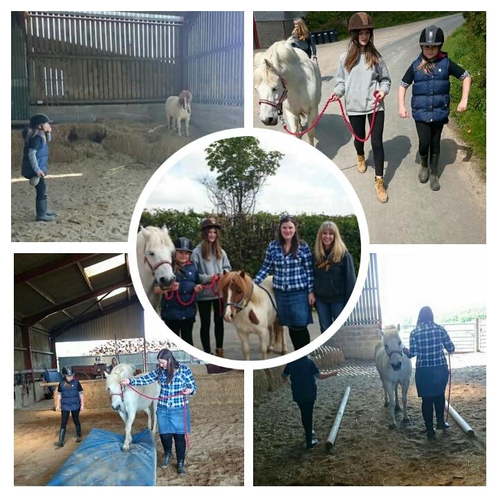 nickinoo89's tweet photo. These beauties are making me so proud and are shining through and through #mentoring #Autism #horseshelpingpeople http://t.co/XIUSwxHaJc